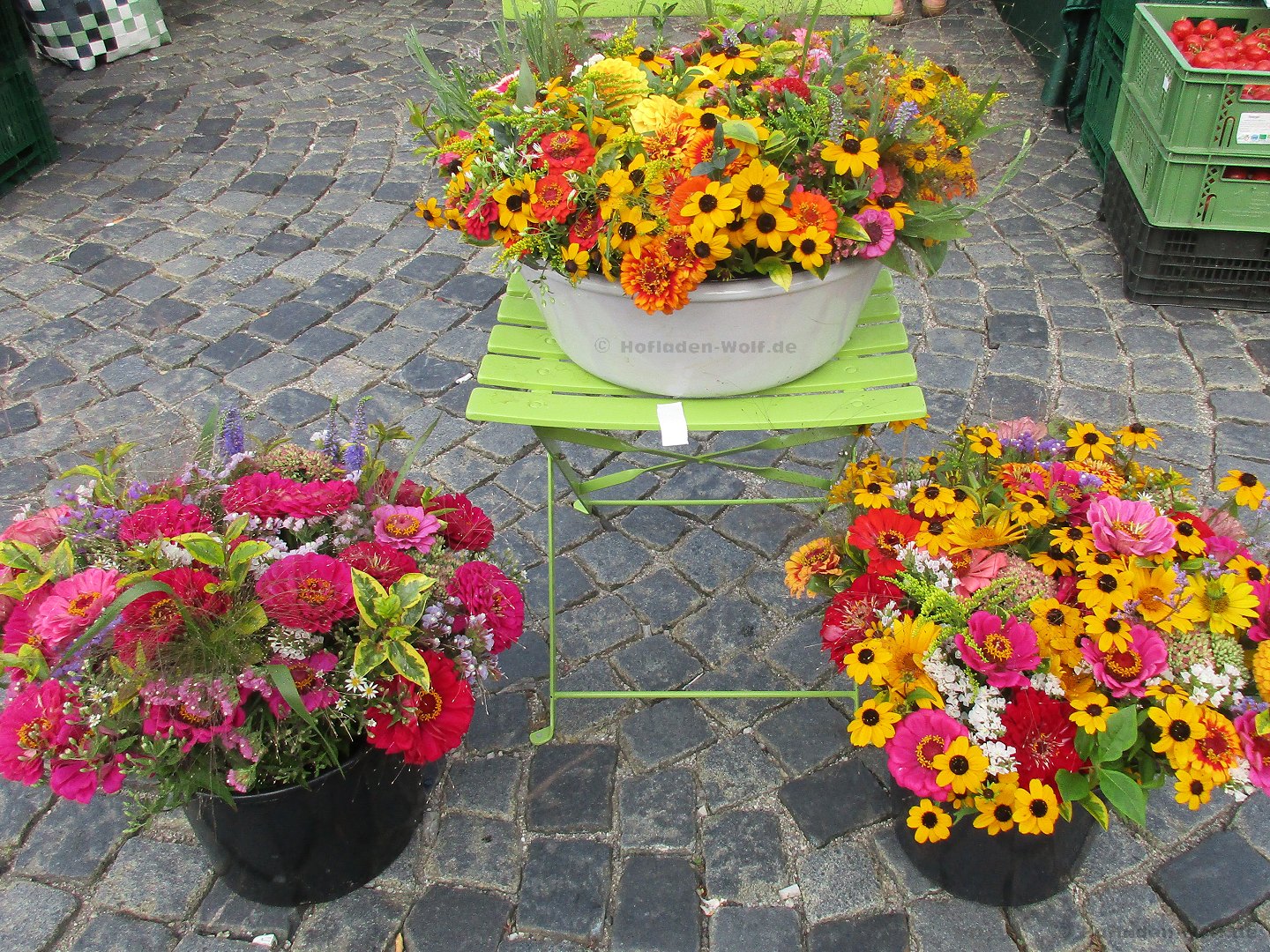 sommerblumen2