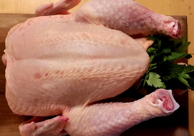Alles vom Huhn und Hähnchen