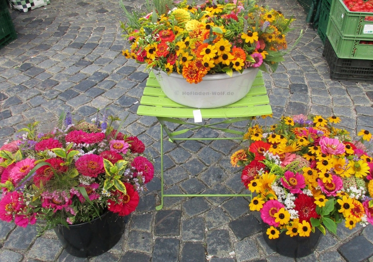 sommerblumen2