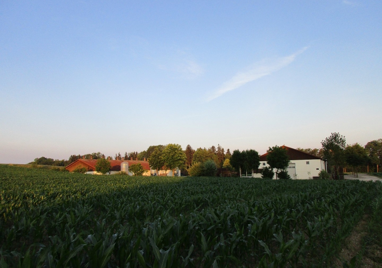 Landwirtschaft Jungbauernhof und Hartenhof