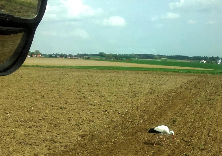 Landwirtschaft Jungbauernhof und Hartenhof