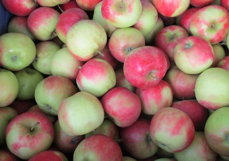 Obst