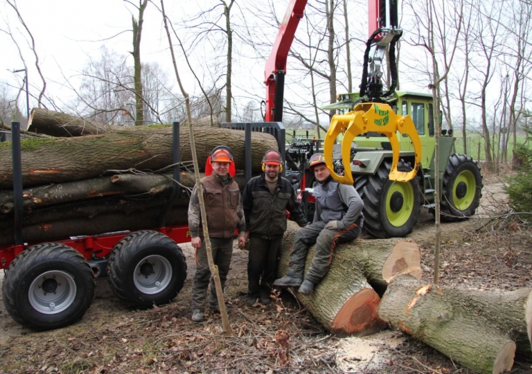 Wald / Brennholz / Hackschnitzel